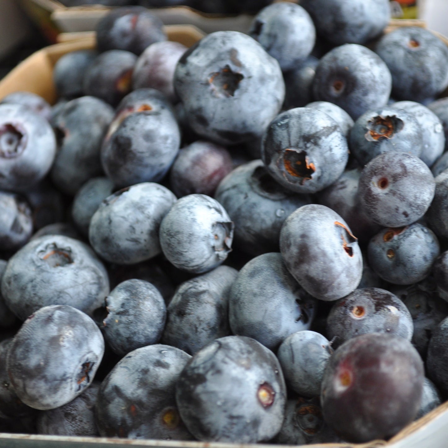 Compote de bleuets et pommes