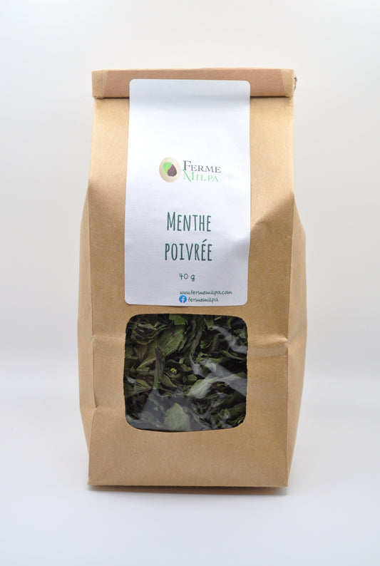 Menthe poivrée chocolat