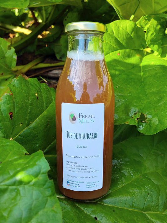 Jus de rhubarbe