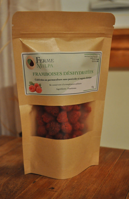 Framboises déshydratées