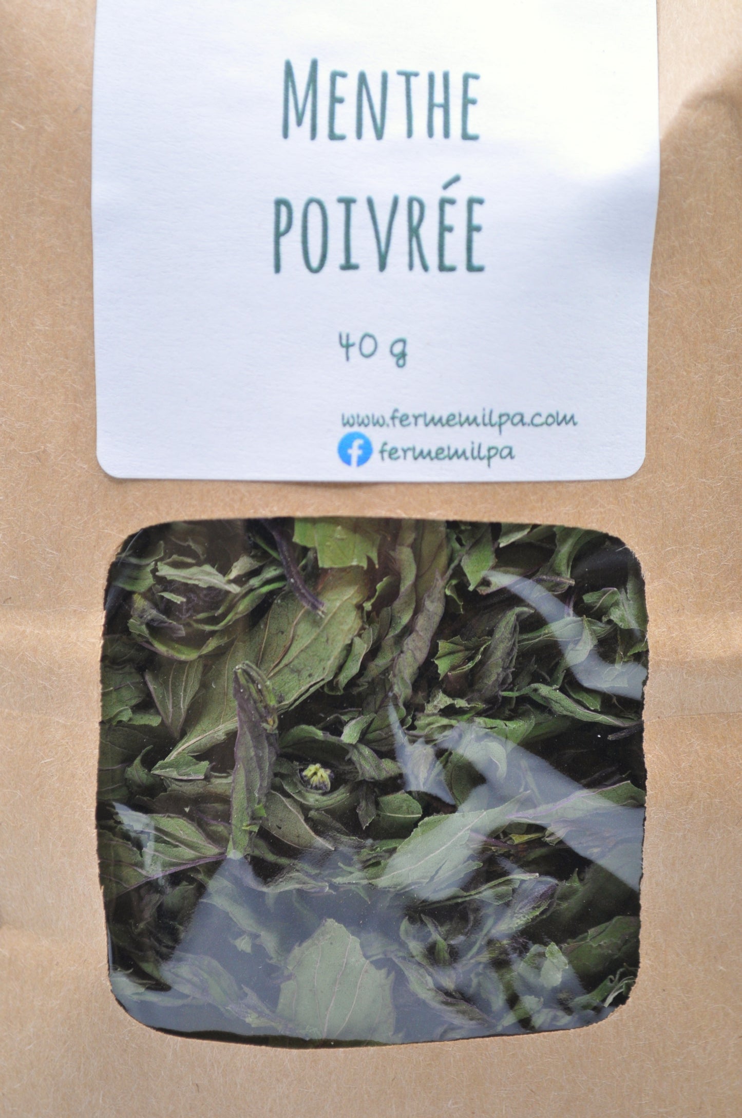 Menthe poivrée chocolat