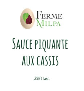 Sauce piquante au cassis
