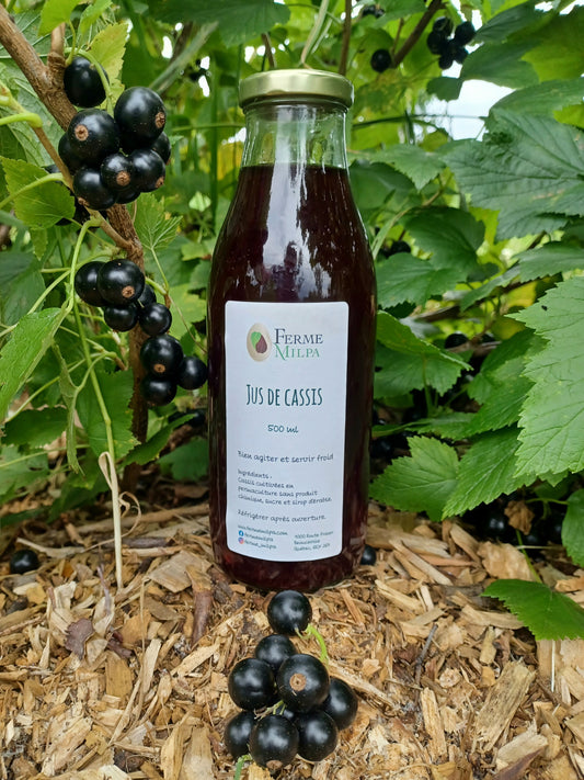 Jus de cassis